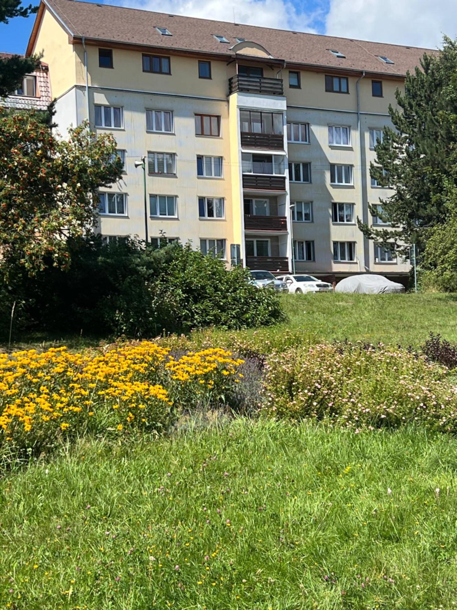 Apartment Tatranská Štrba Eksteriør billede